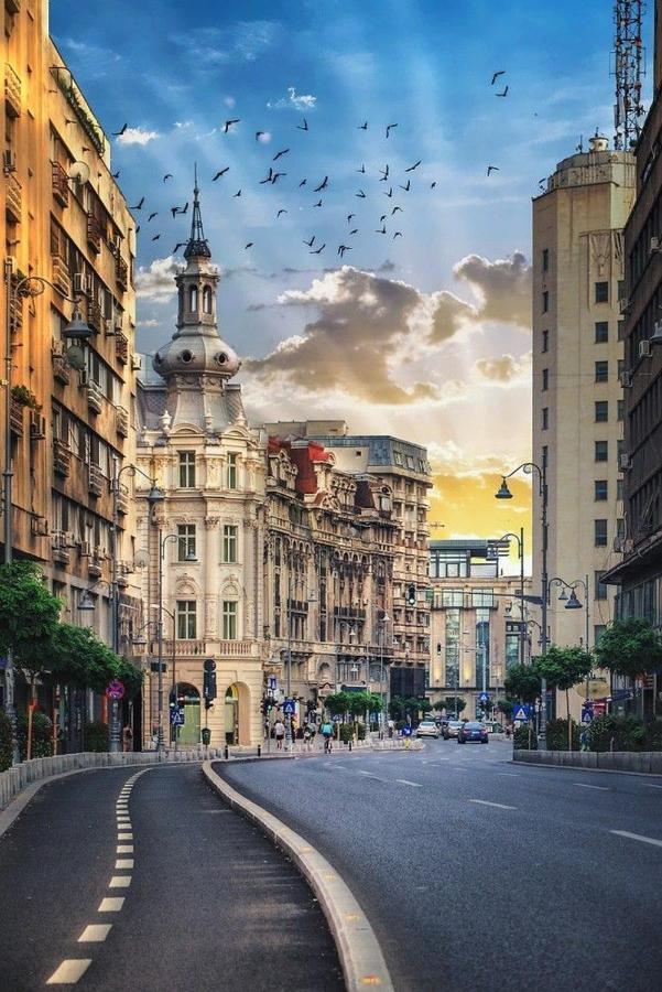 Imob Bibi House Universitate Bucureşti Eksteriør bilde